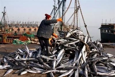 賦能深藍 海洋漁業機械納入農機補貼，助推產業現代化升級